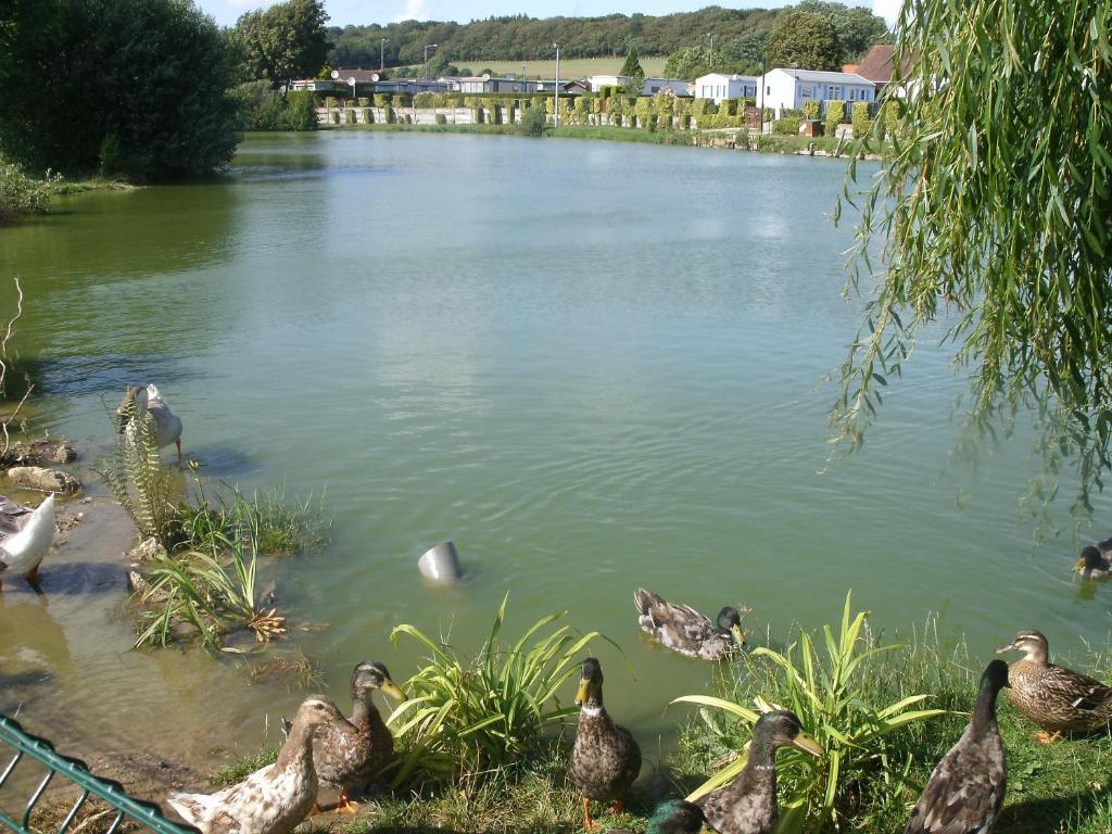 Auberge Des Etangs Roussent 외부 사진